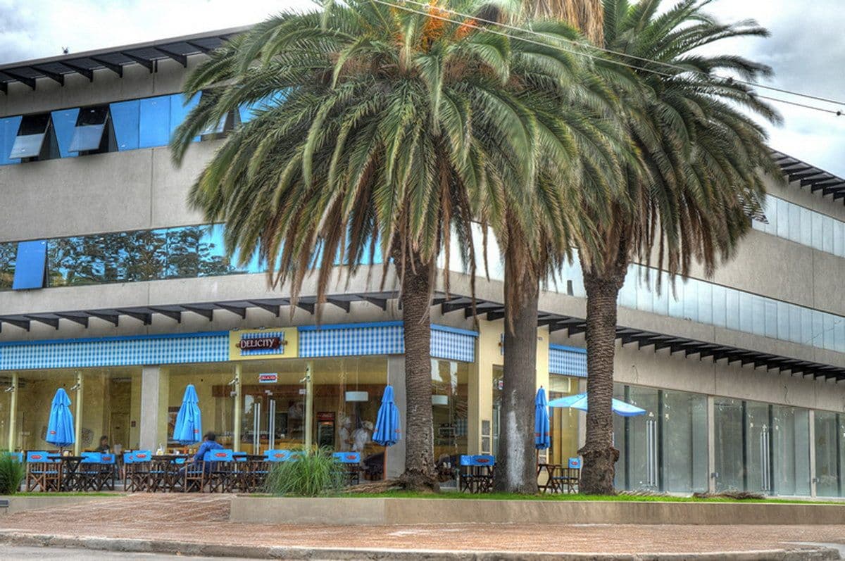 Las Rosas Plaza - las rosas plaza gallery1 9a6b1039 79627 DSC 8198copia
